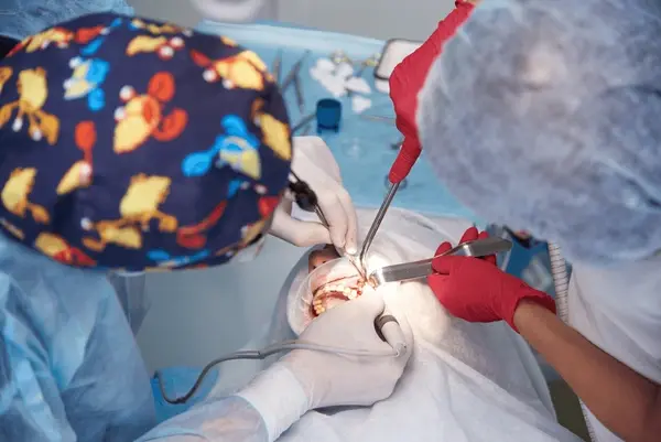 sinus lift surgery in white rock, bc